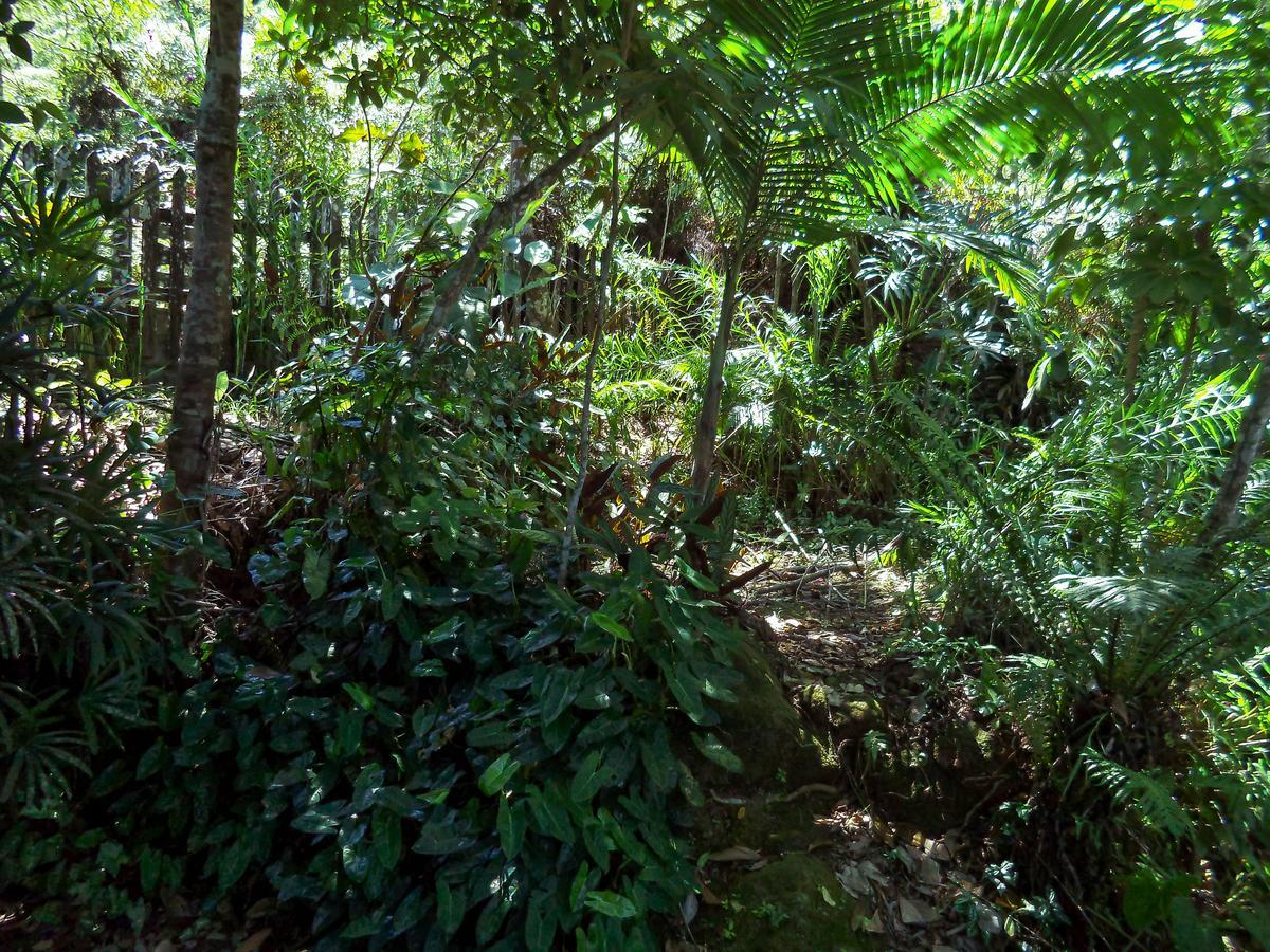 Laguna Guarujá Dış mekan fotoğraf